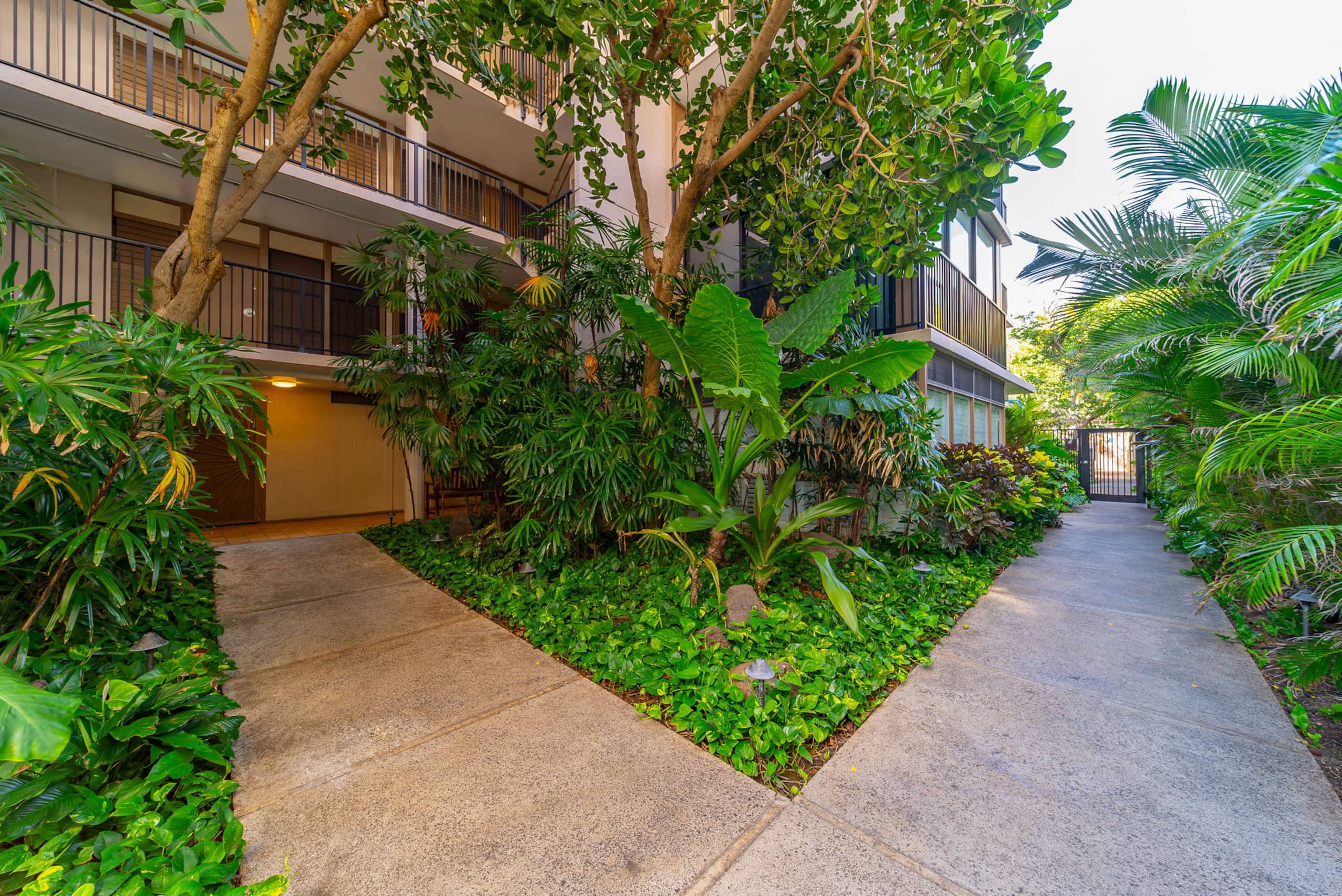 Lush garden walkway through the condo grounds