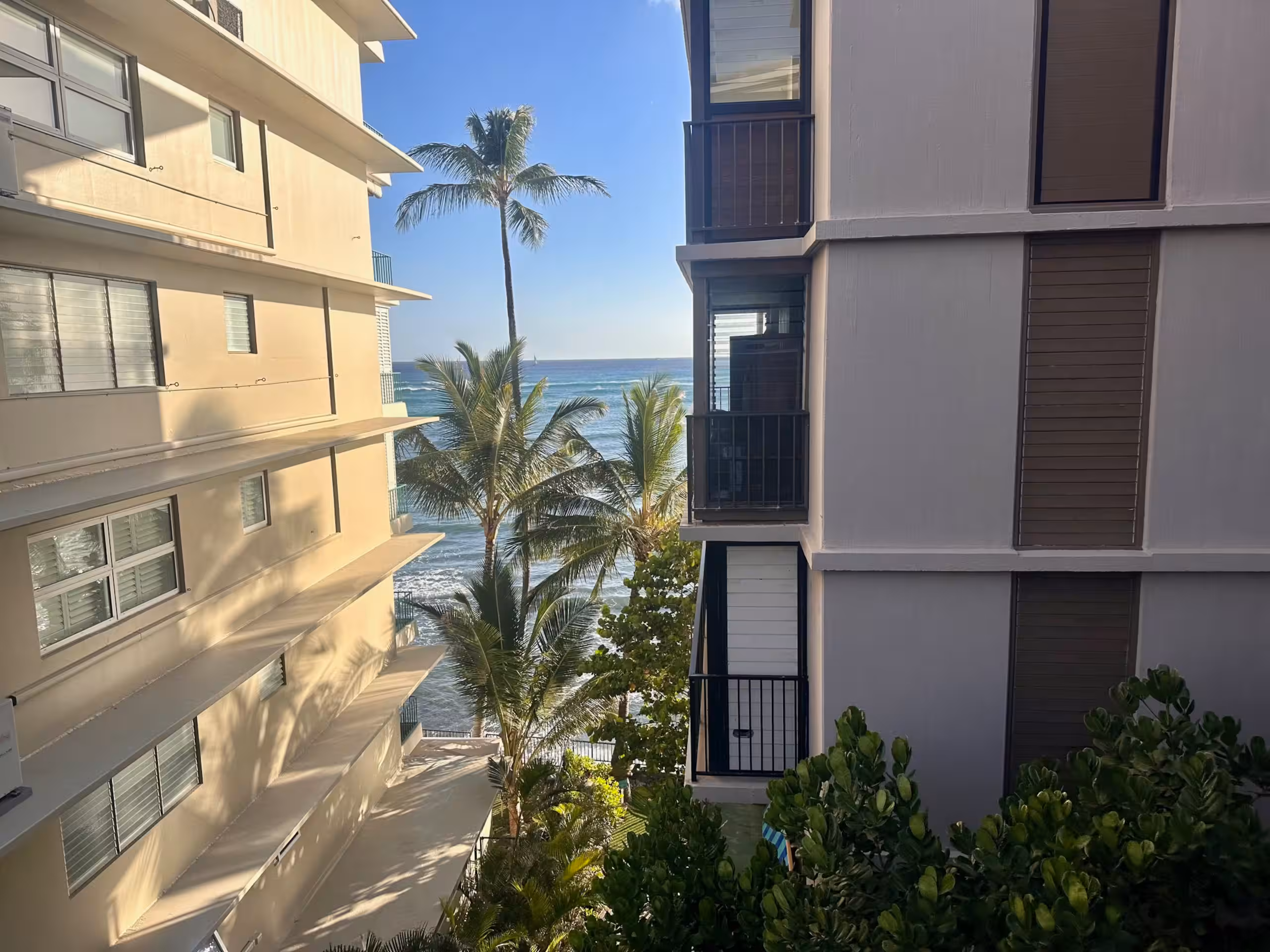 Pacific Ocean and palms seen between neighboring buildings
