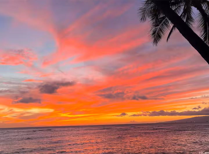 Vivid coral sunset over the Pacific beneath a palm